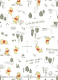 220825W Disney Winnie The Pooh Cocoon Swaddle Wrap (2 Pack)